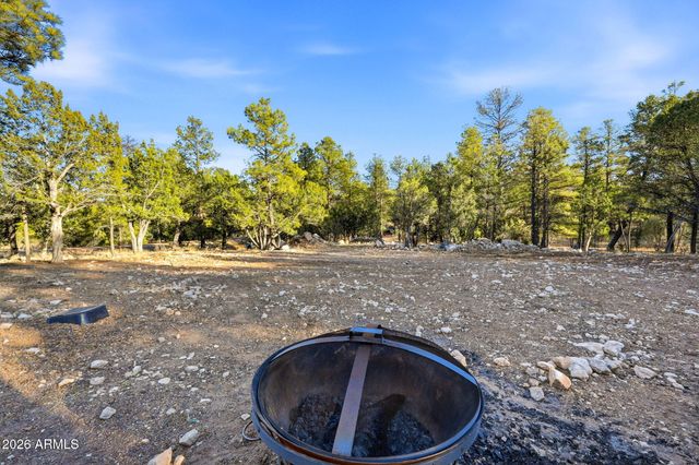 2225 ROUNDABOUT Way, Overgaard, AZ 85933