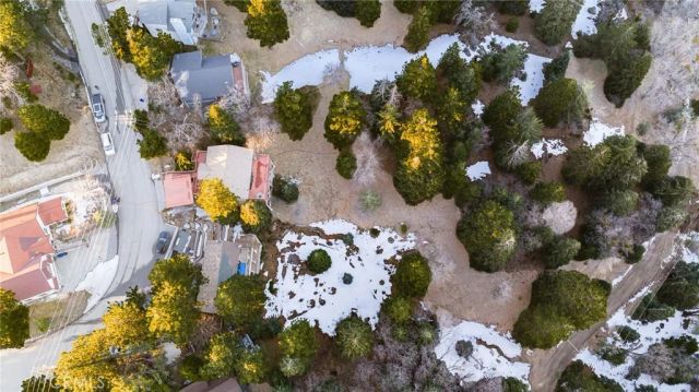 2011 Nob Hill, Running Springs, CA 92382