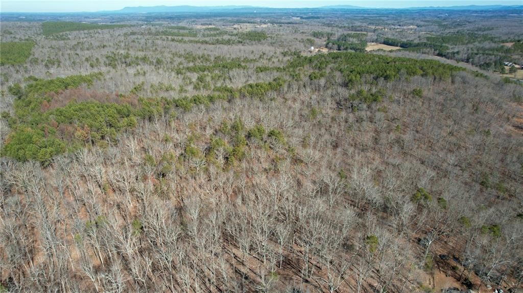 Image 16 of property listing at 0001 Bozeman Road NW, White, GA 30184