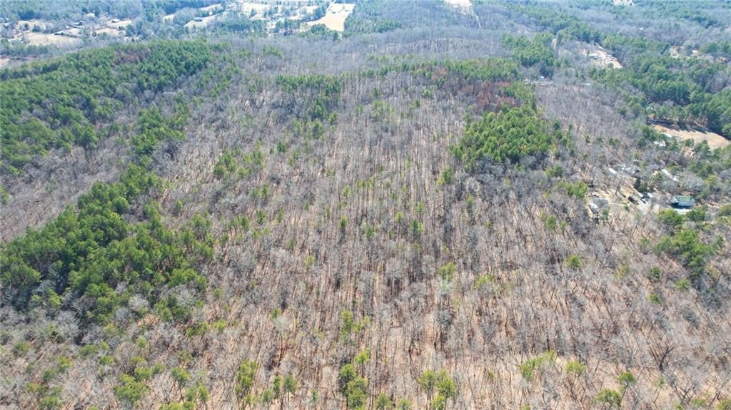 Image 18 of property listing at 0001 Bozeman Road NW, White, GA 30184
