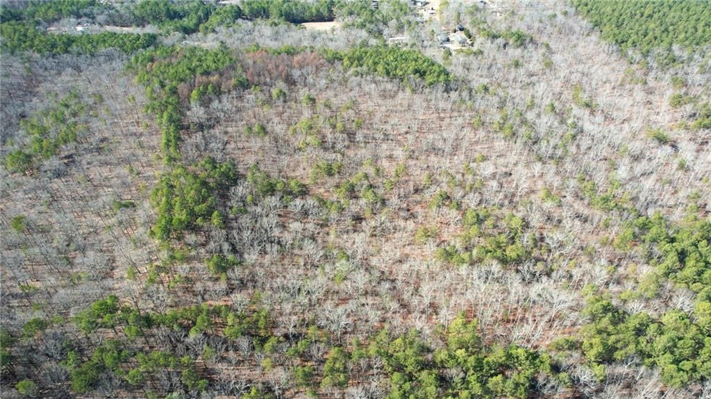 Image 19 of property listing at 0001 Bozeman Road NW, White, GA 30184