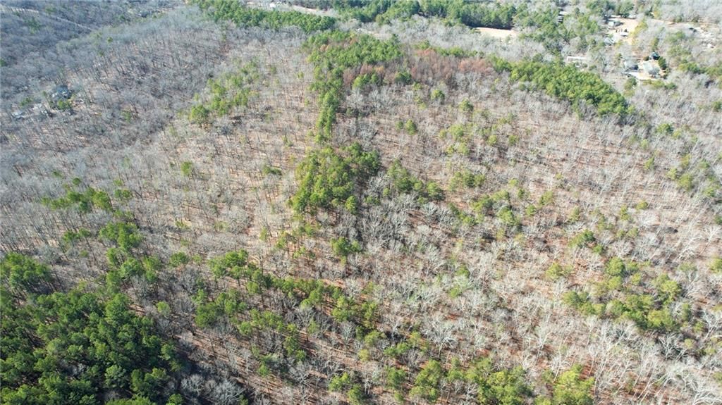 Image 20 of property listing at 0001 Bozeman Road NW, White, GA 30184