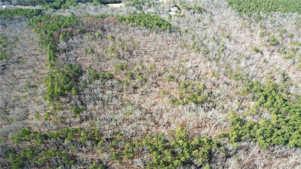Image 21 of property listing at 0001 Bozeman Road NW, White, GA 30184