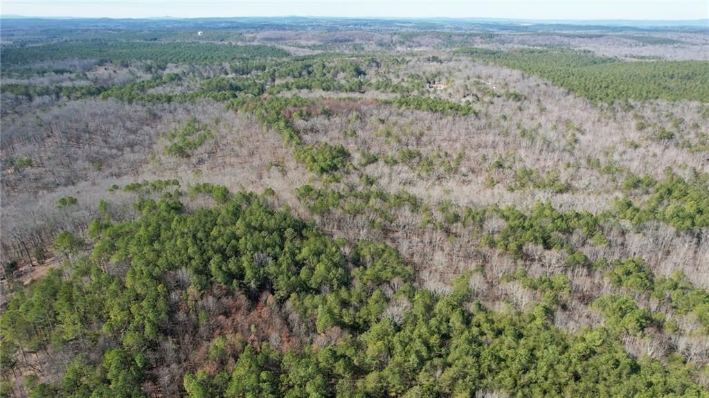 Image 22 of property listing at 0001 Bozeman Road NW, White, GA 30184