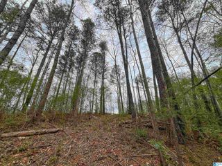 4040 PINE STREET, Birmingham, AL 35210