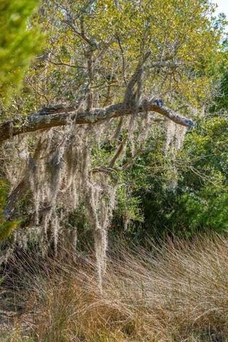 328 Maggie Road, Mount Pleasant, SC 29464