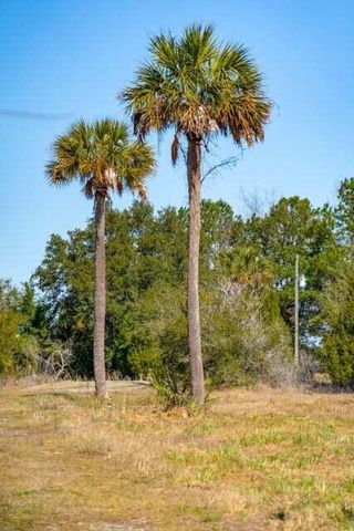 328 Maggie Road, Mount Pleasant, SC 29464