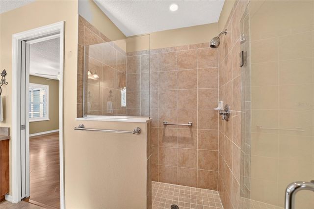 770 GOLIATH PLACE, The Villages, FL 32162