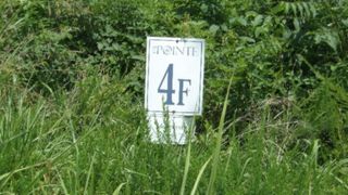 4 F Trout Lane, Hilham, TN 38568