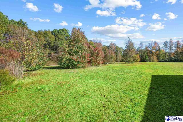 2139 Lamar Hwy, Darlington, SC 29532