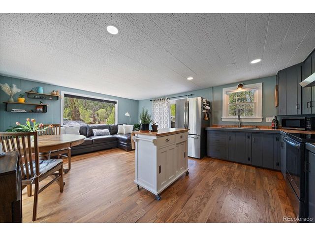 99 Mill Creek Rd, Dumont, CO 80436
