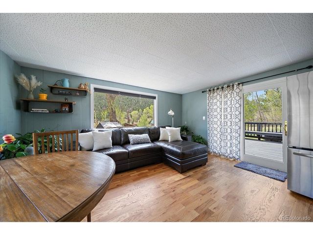 99 Mill Creek Rd, Dumont, CO 80436