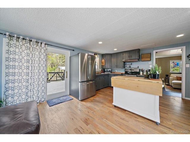 99 Mill Creek Rd, Dumont, CO 80436