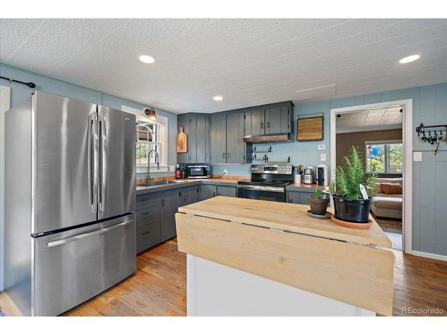 99 Mill Creek Rd, Dumont, CO 80436