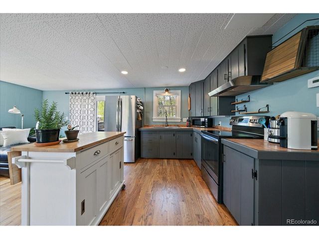 99 Mill Creek Rd, Dumont, CO 80436