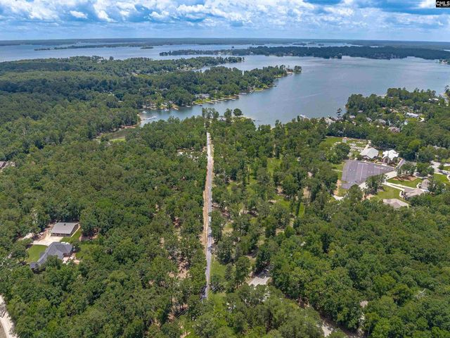 165 Saint Thomas Church Road, Chapin, SC 29036