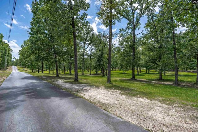165 Saint Thomas Church Road, Chapin, SC 29036