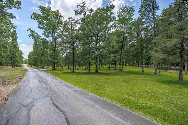 165 Saint Thomas Church Road, Chapin, SC 29036
