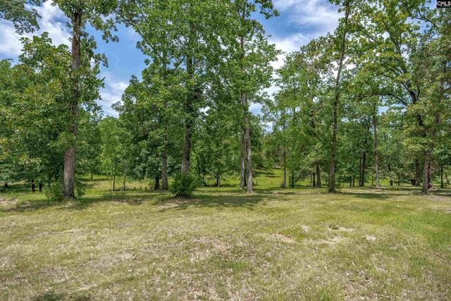 165 Saint Thomas Church Road, Chapin, SC 29036