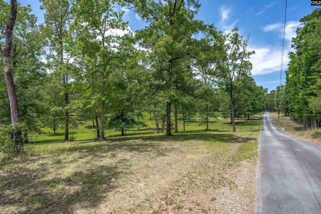 165 Saint Thomas Church Road, Chapin, SC 29036