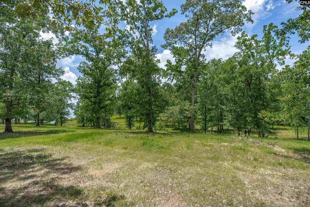 165 Saint Thomas Church Road, Chapin, SC 29036
