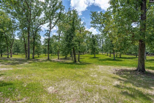 165 Saint Thomas Church Road, Chapin, SC 29036