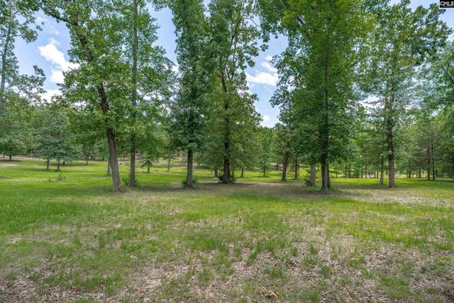 165 Saint Thomas Church Road, Chapin, SC 29036