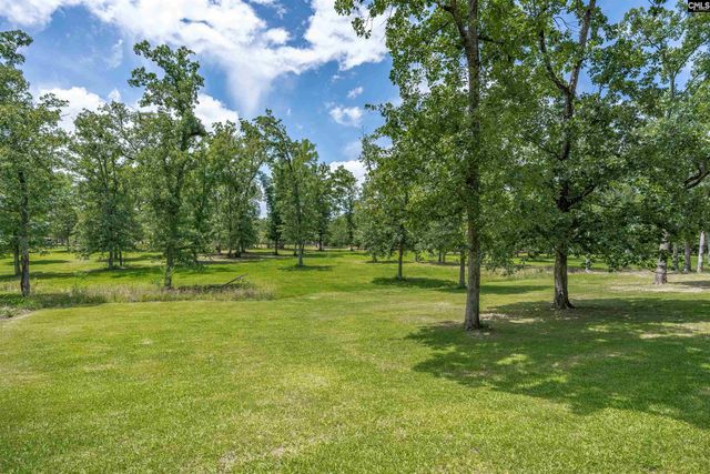 165 Saint Thomas Church Road, Chapin, SC 29036