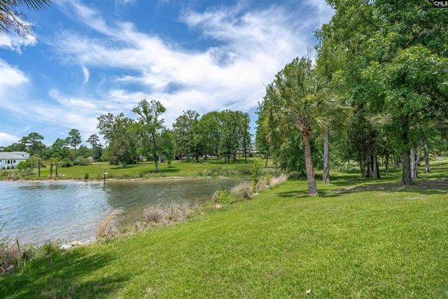 165 Saint Thomas Church Road, Chapin, SC 29036