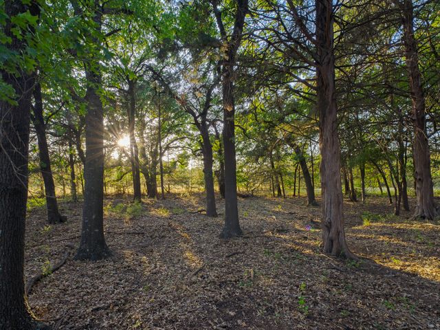 2403 County Road 2224, Decatur, TX 76234