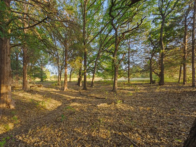 2403 County Road 2224, Decatur, TX 76234