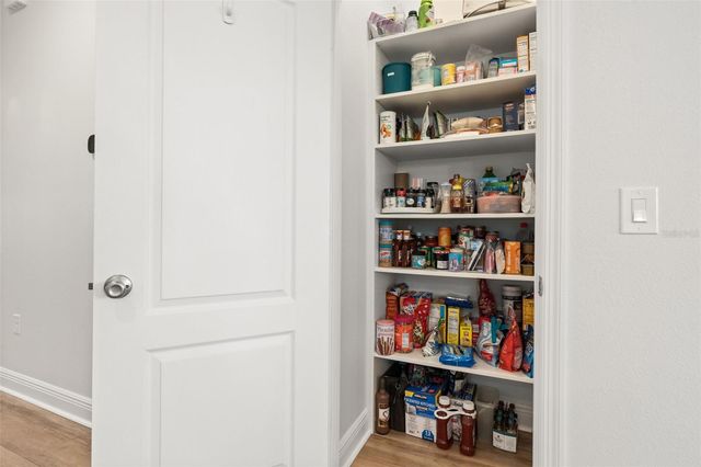 1731 WILSON PRAIRIE CIRCLE, Groveland, FL 34736