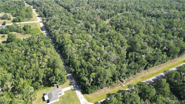 825 E Anton Drive, Citrus Springs, FL 34434