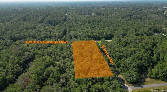 825 E Anton Drive, Citrus Springs, FL 34434