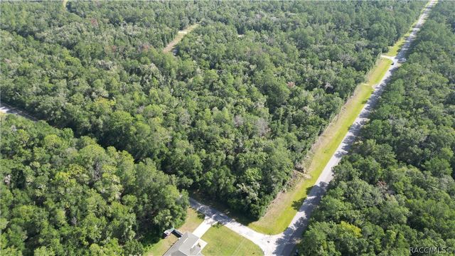 825 E Anton Drive, Citrus Springs, FL 34434