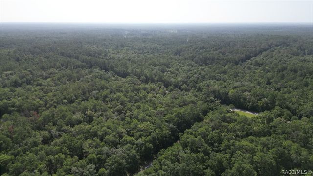 825 E Anton Drive, Citrus Springs, FL 34434