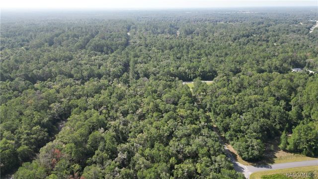 825 E Anton Drive, Citrus Springs, FL 34434