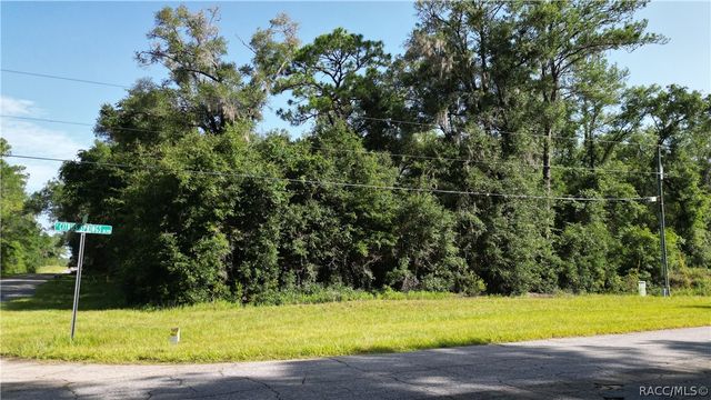 825 E Anton Drive, Citrus Springs, FL 34434