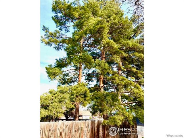 2400 Elmhurst Place, Longmont, CO 80503