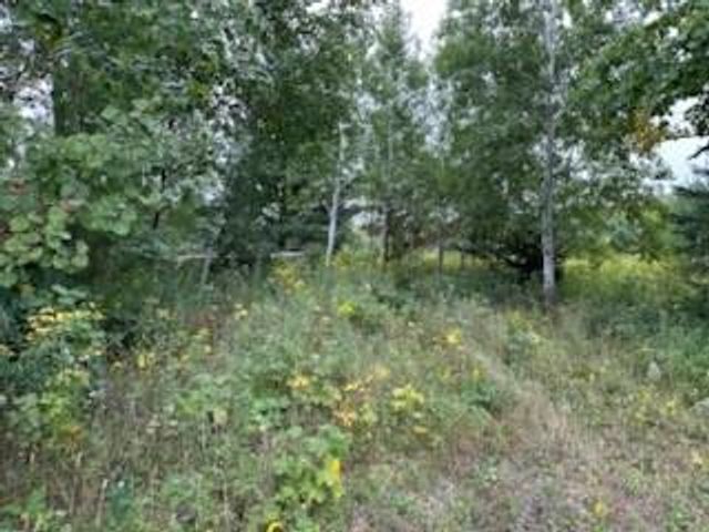 0 300th Avenue, Frederic, WI 54837