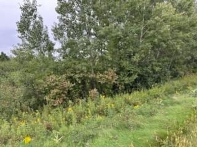 0 300th Avenue, Frederic, WI 54837