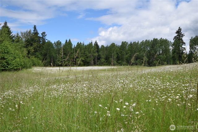 2717 354th Street Ct S, Roy, WA 98580