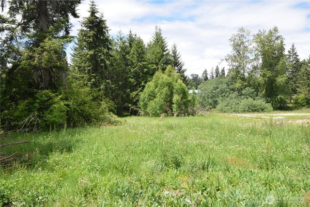 2717 354th Street Ct S, Roy, WA 98580