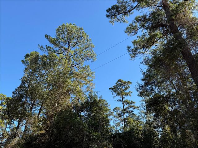 T-6 Eldridge Road, Cleveland, TX 77328