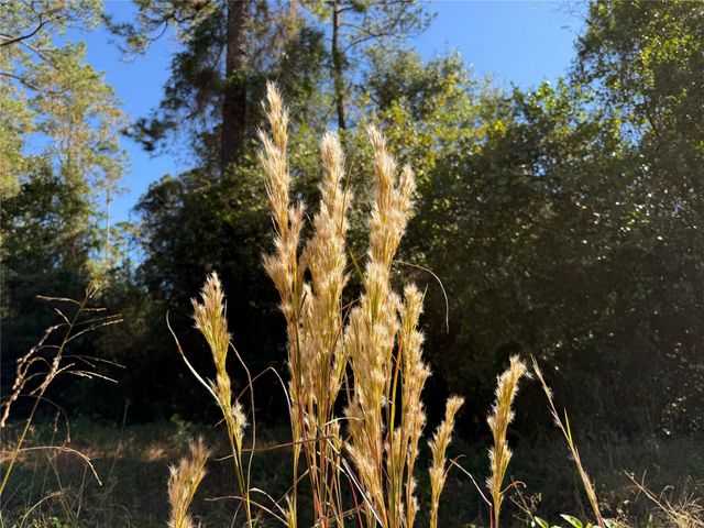 T-6 Eldridge Road, Cleveland, TX 77328