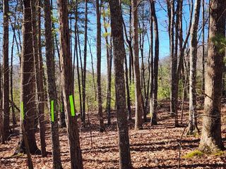Lot17 Gray Grouse Trail, NC 28906
