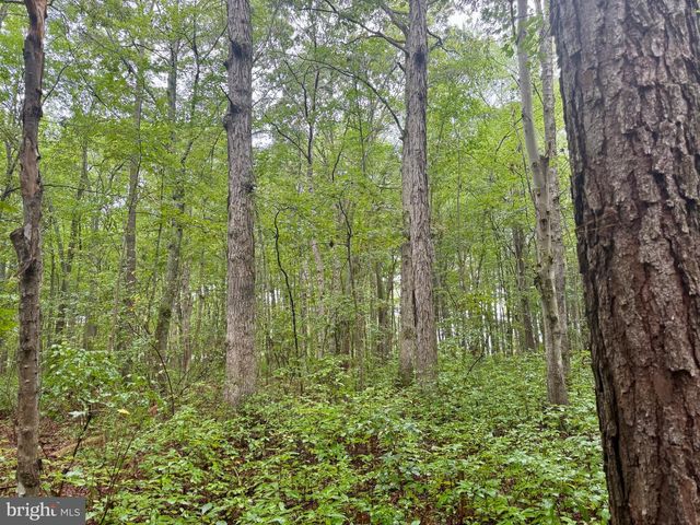 0 CHURCH CREEK RD, Cambridge, MD 21613