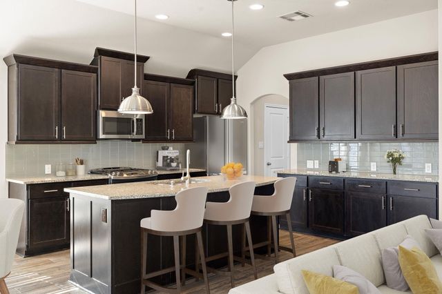 14113 Arbor Hill CV, Manor, TX 78653