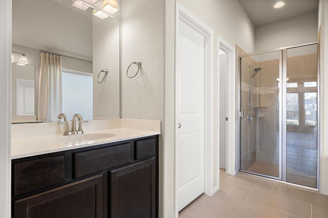 14113 Arbor Hill CV, Manor, TX 78653