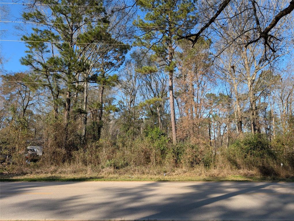 25865 Cambridge Boulevard, New Caney, TX 77357